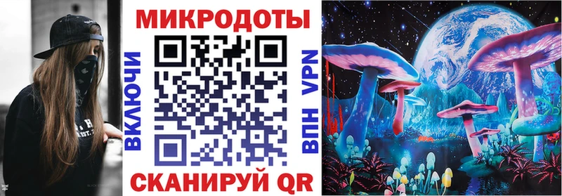 Псилоцибиновые грибы Psilocybe  Родники 