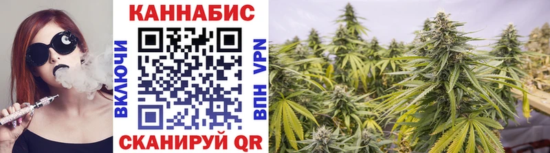 Бошки Шишки гибрид купить наркотик Родники